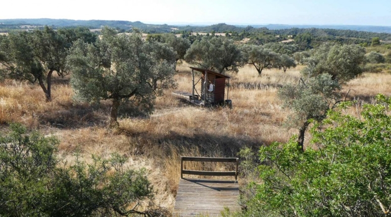 Zaragoza - Caspe - 56200m2