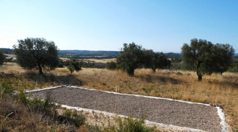 Zaragoza - Caspe - 56200m2