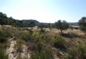 Terreny no urbanitzable en venda a Casp ref.: TR414432 foto