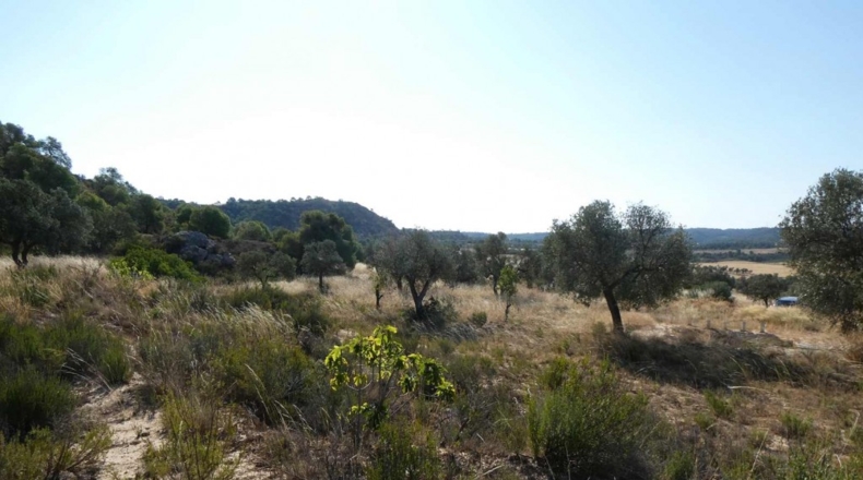 Zaragoza - Caspe - 56200m2