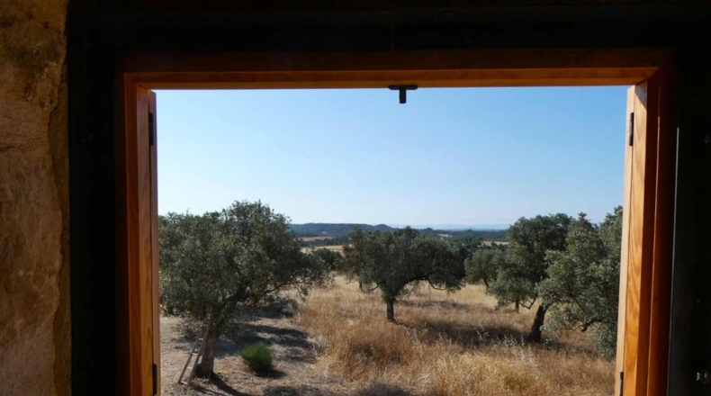 Zaragoza - Caspe - 56200m2