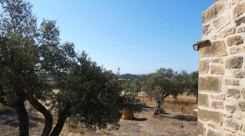 Zaragoza - Caspe - 56200m2