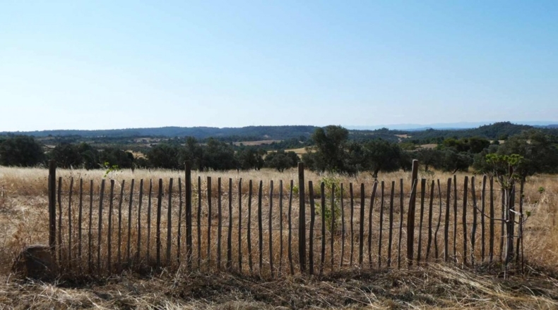 Zaragoza - Caspe - 56200m2