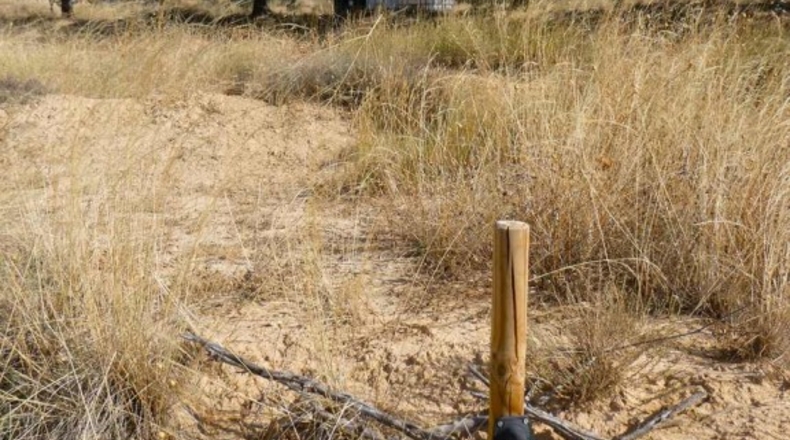 Zaragoza - Caspe - 56200m2