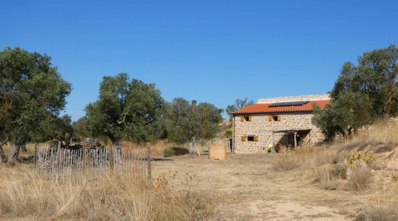 Zaragoza - Caspe - 56200m2