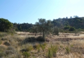 Terreny no urbanitzable en venda a Casp ref.: TR414432 foto