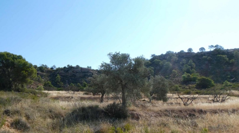 Zaragoza - Caspe - 56200m2