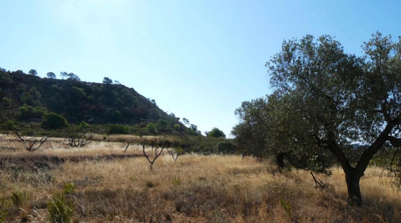 Zaragoza - Caspe - 56200m2