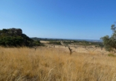 Terreny no urbanitzable en venda a Casp ref.: TR414432 foto