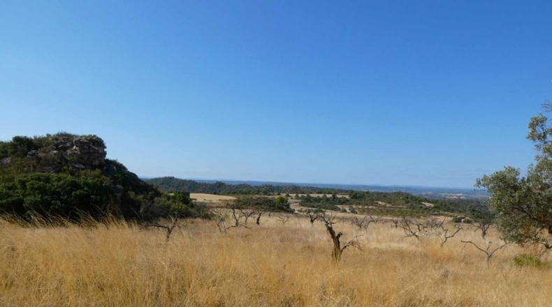 Zaragoza - Caspe - 56200m2