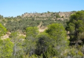 Terreny no urbanitzable en venda a Casp ref.: TR414432 foto
