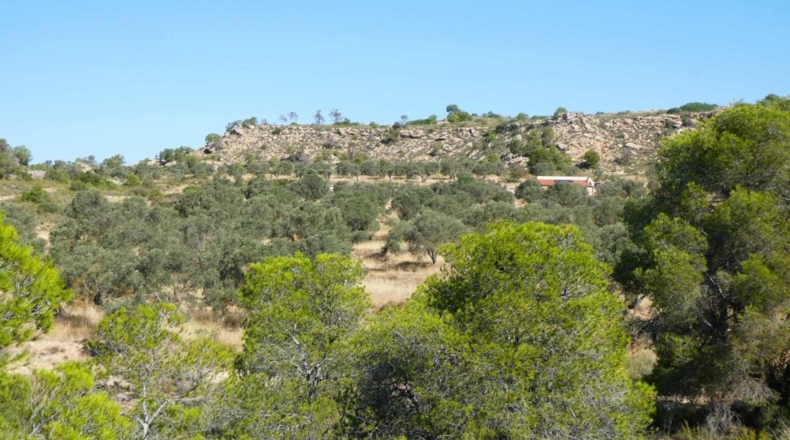 Zaragoza - Caspe - 56200m2