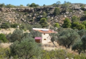 Terreny no urbanitzable en venda a Casp ref.: TR414432 foto