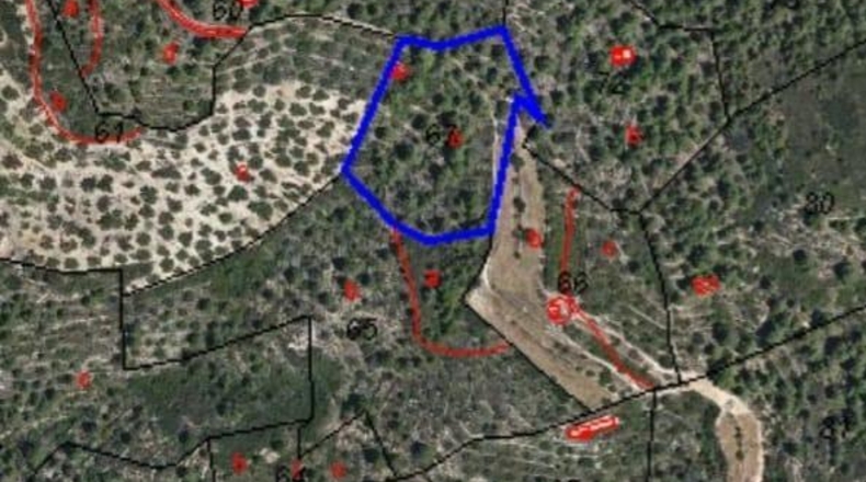 Tarragona - Tivenys - 510m2