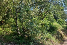 Tivenys 510&nbsp;m²