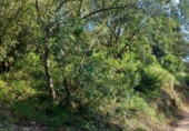 Terreno no urbanizable en venta en la España, Tivenys, ref: TR414450 foto