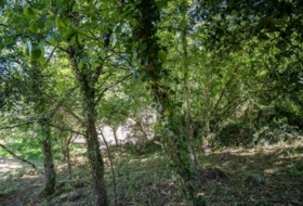 Villaviciosa 276&nbsp;m²