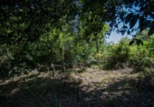 Suelo urbano en venta en la España, Villaviciosa, ref: TR414452 foto