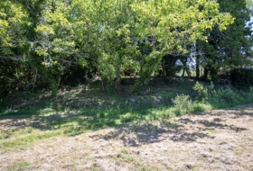 Villaviciosa 276&nbsp;m²