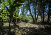 Suelo urbano en venta en la España, Villaviciosa, ref: TR414452 foto