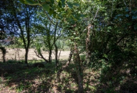 Villaviciosa 276&nbsp;m²