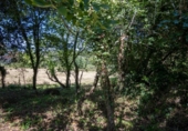 Suelo urbano en venta en la España, Villaviciosa, ref: TR414452 foto