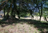Suelo urbano en venta en la España, Villaviciosa, ref: TR414452 foto