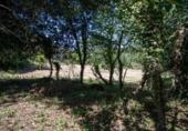 Suelo urbano en venta en la España, Villaviciosa, ref: TR414452 foto