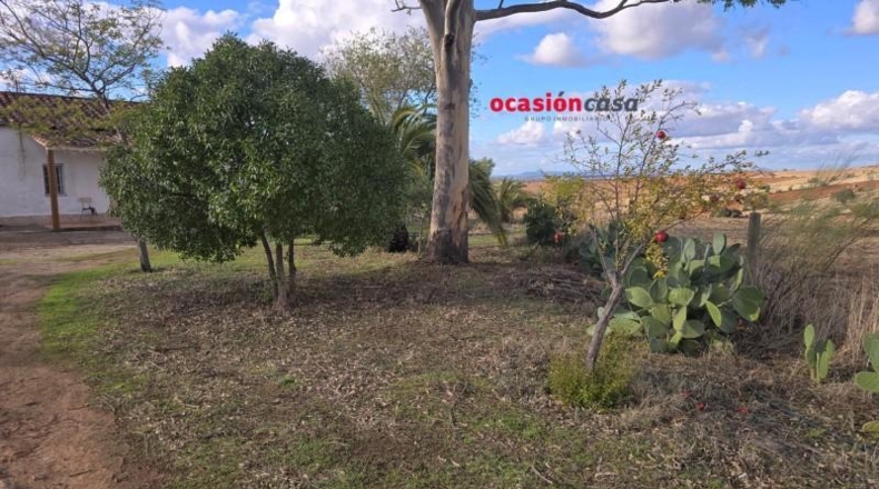 Málaga - Antequera - 4000m2