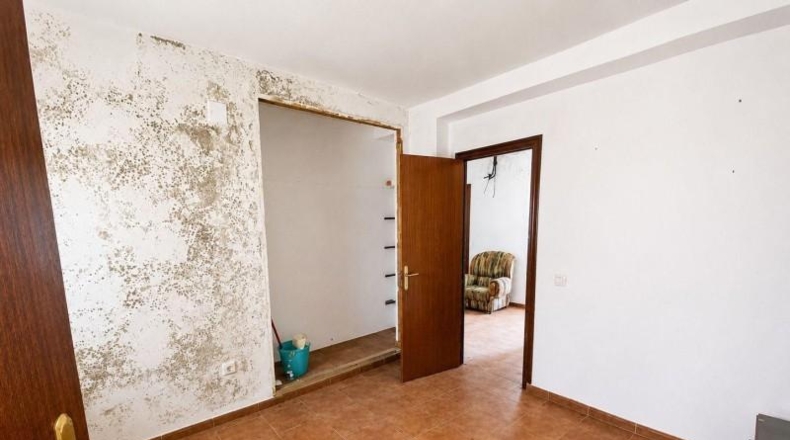 Cádiz - Alcalá de los Gazules - 79m2