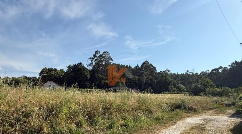 La Coruña - Chaves - 15516m2