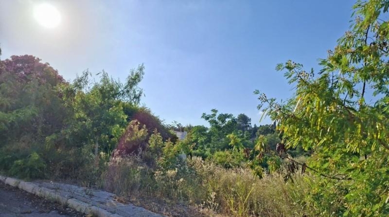 Valencia - Alberic - 2200m2