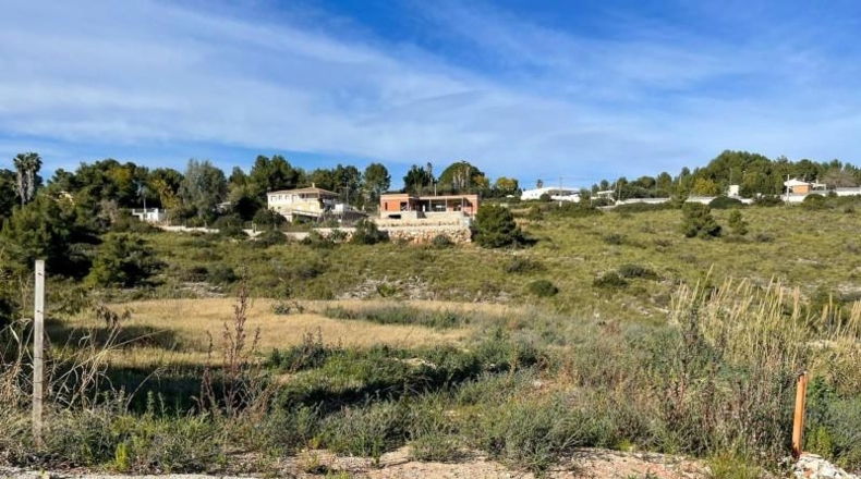 Valencia - Alberic - 2200m2