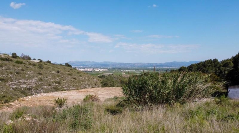 Valencia - Alberic - 2200m2