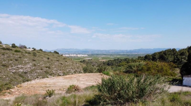 Valencia - Alberic - 2200m2