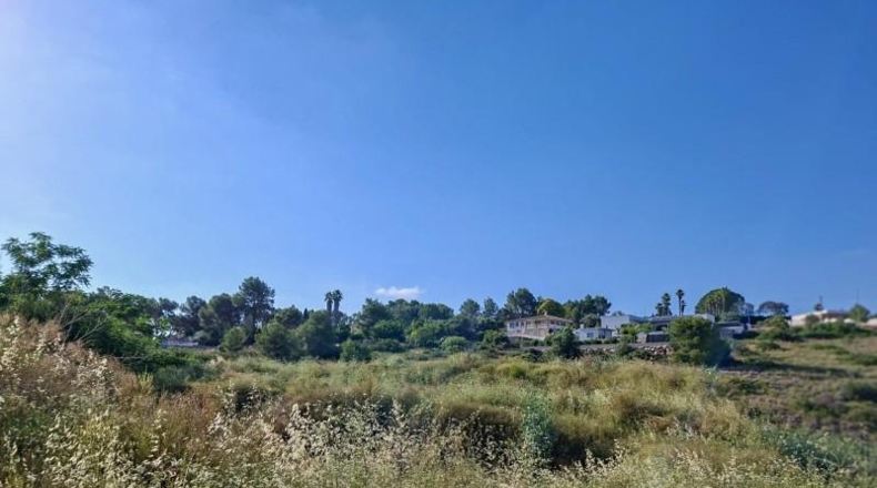 Valencia - Alberic - 2200m2