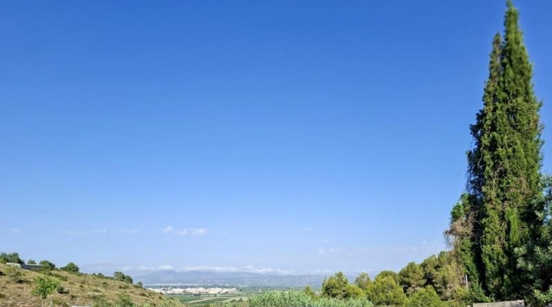 Valencia - Alberic - 2200m2