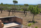 Chalet independiente con terreno en venta en la España, el Perelló, ref: TR414469 foto