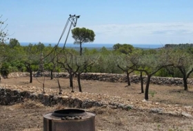 el Perelló 20&nbsp;m²