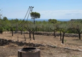 Chalet independiente con terreno en venta en la España, el Perelló, ref: TR414469 foto