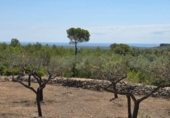 Chalet independiente con terreno en venta en la España, el Perelló, ref: TR414469 foto