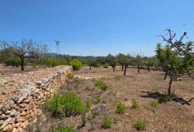 el Perelló 20&nbsp;m²