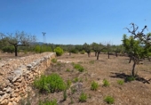 Chalet independiente con terreno en venta en la España, el Perelló, ref: TR414469 foto