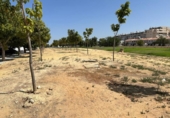 Sòl urbà en venda a la España, Jerez de la Frontera, ref.: TR368945 foto