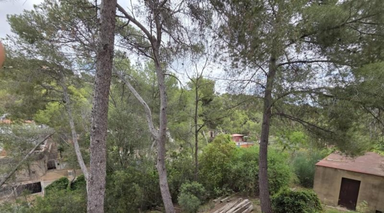Valencia - Nàquera - 1013m2