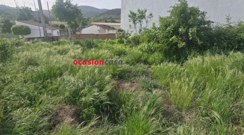 Córdoba - Villanueva del Rey - 762m2