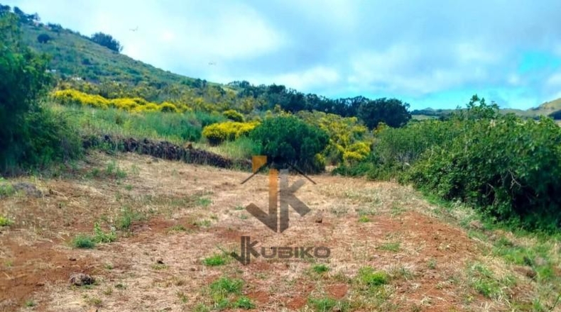 Санта-Крус-де-Тенерифе - La Esperanza - 8229m2