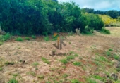 Non-developable land for sale on España, La Esperanza, ref: TR414492 photo