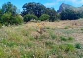 Non-developable land for sale on España, La Esperanza, ref: TR414492 photo