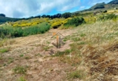 Non-developable land for sale on España, La Esperanza, ref: TR414492 photo